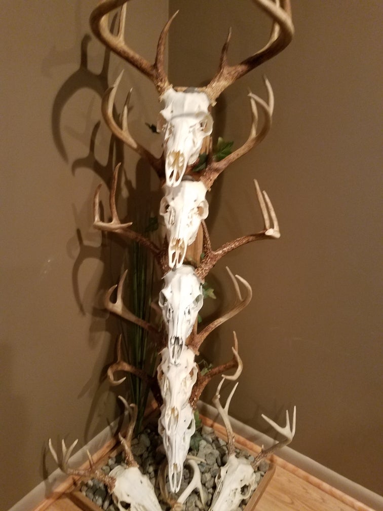 Multi Euro Mount Euro mount finished | Archery Talk Forum