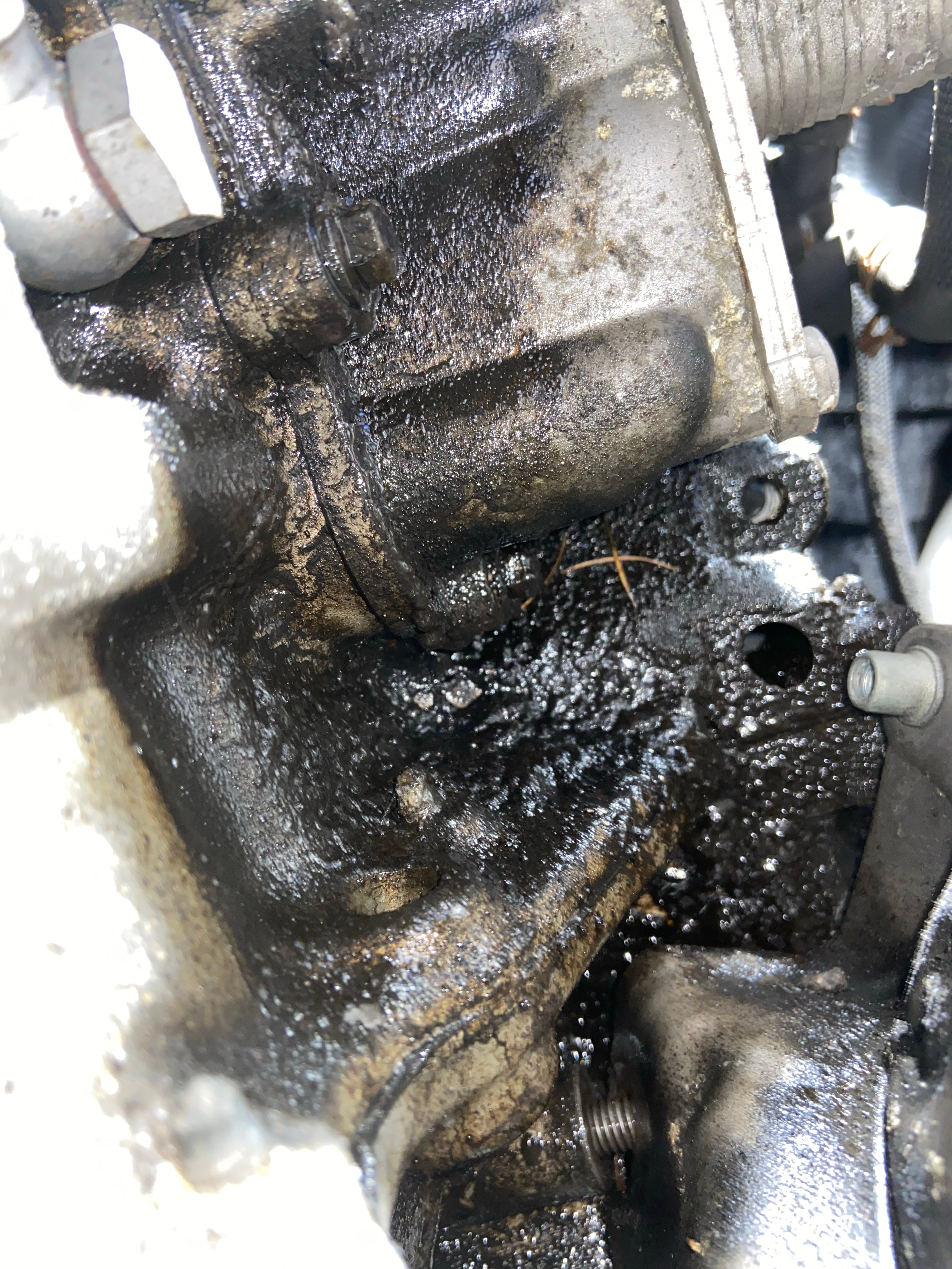 R56 Cooper S Oil Leak MiniTorque