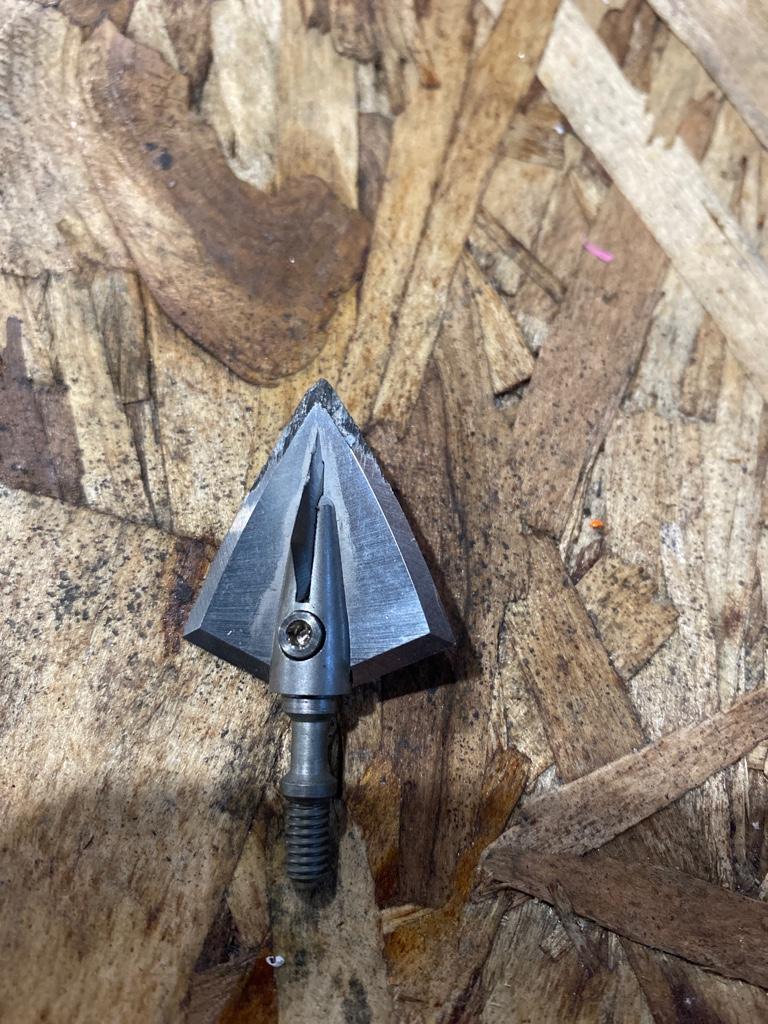 What are your thoughts on Day Six Evo X broadheads Archery Talk Forum