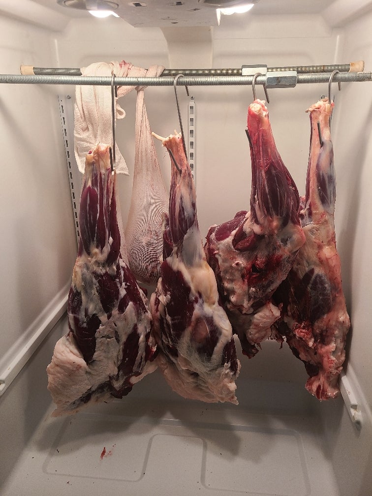 How Long Can Fresh Deer Meat Stay in the Fridge: Essential Guide