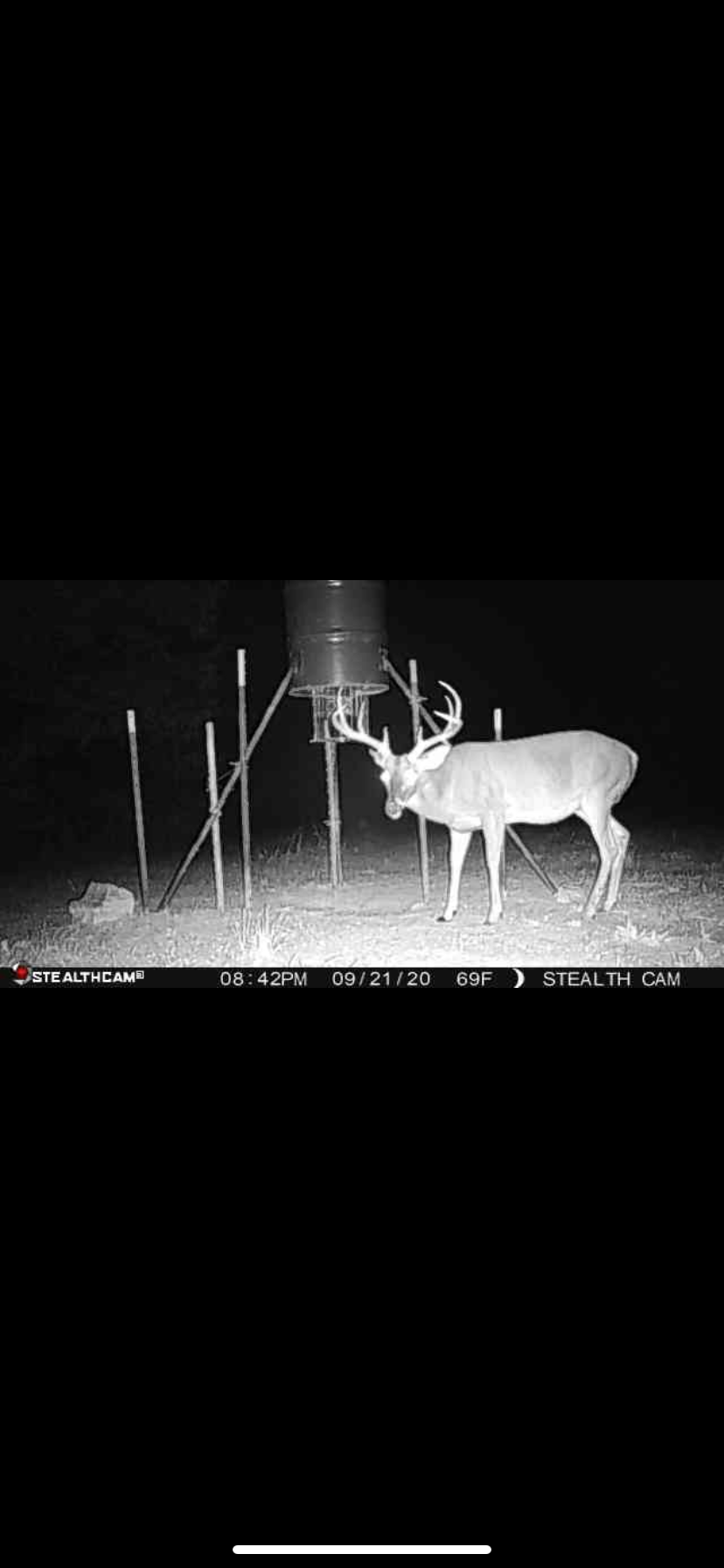 How much do your deer weigh? Archery Talk Forum