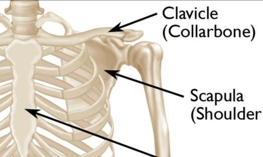 6 seater vs 7 Seater SwedeSpeed Volvo Performance Forum