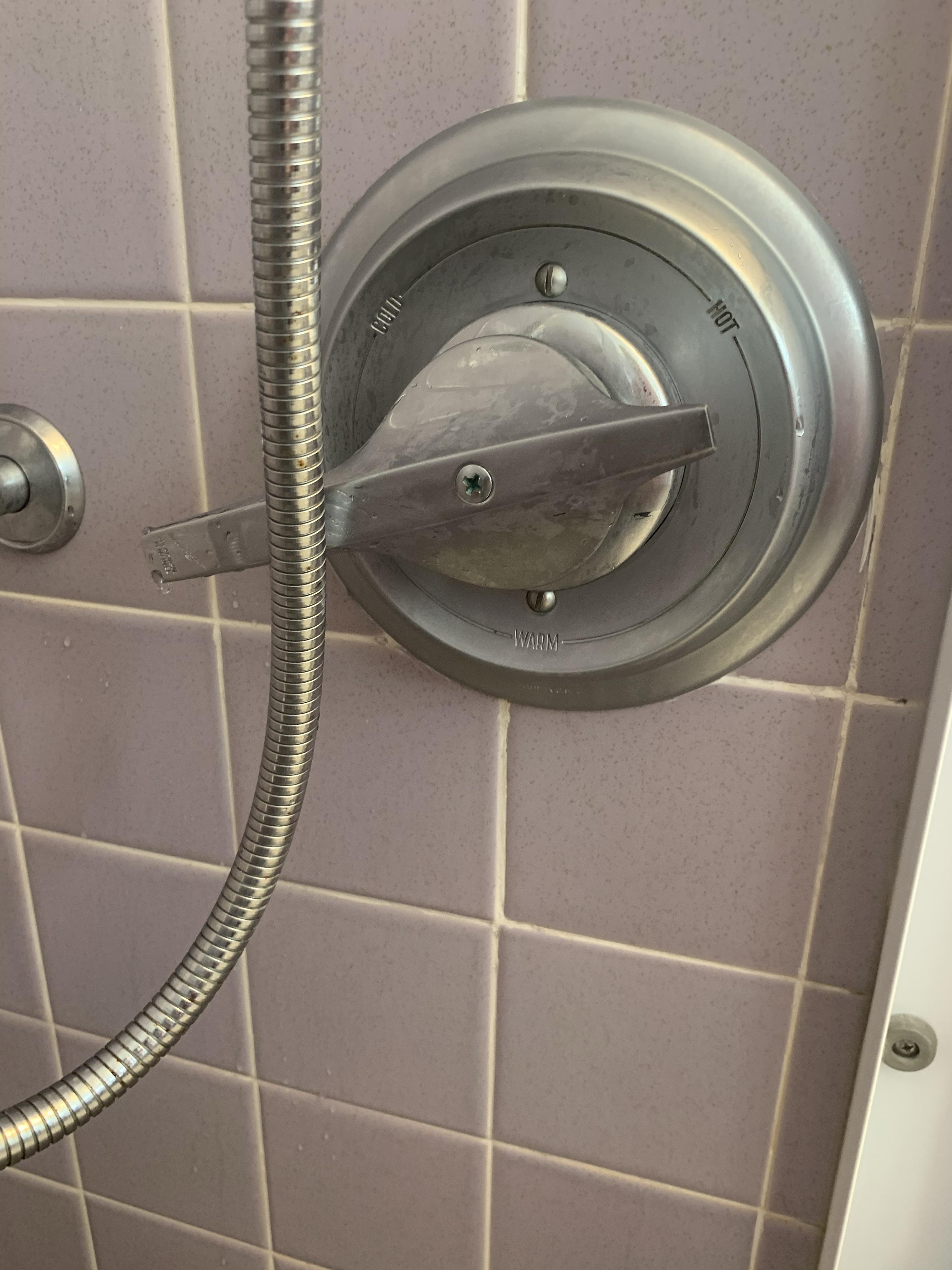 Speakman Sentinel Shower valve gives warm water not hot DIY Home