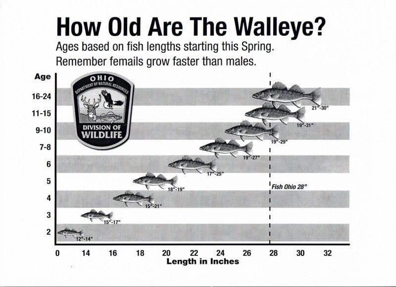 Ohio Fish Collection Chart PIB live ice fishing report | Ohio Game Fishing