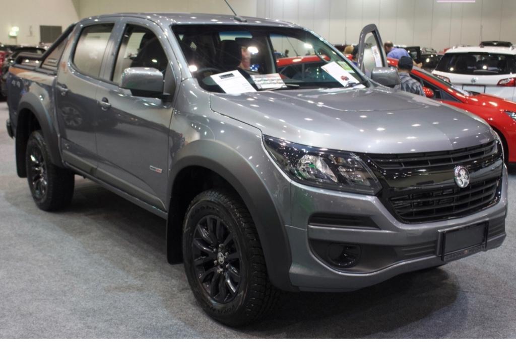 A pillar grab handle Chevy Colorado & GMC Canyon