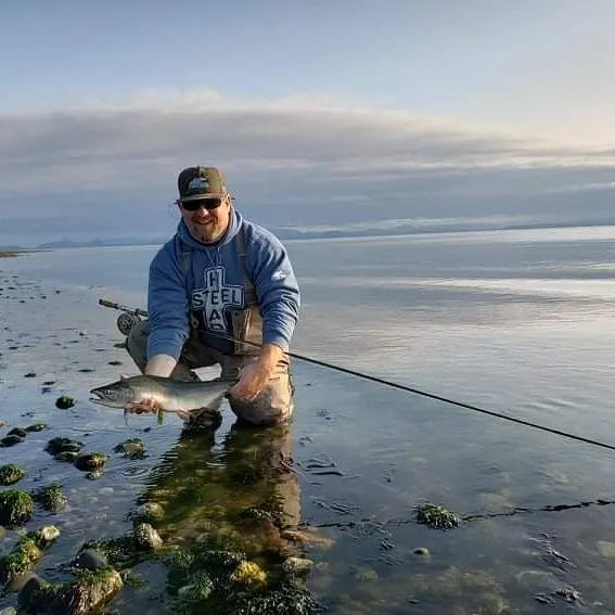 3-Tand Reels | The Fly Fishing Forum 3-Tand Reels | The Fly Fishing Forum