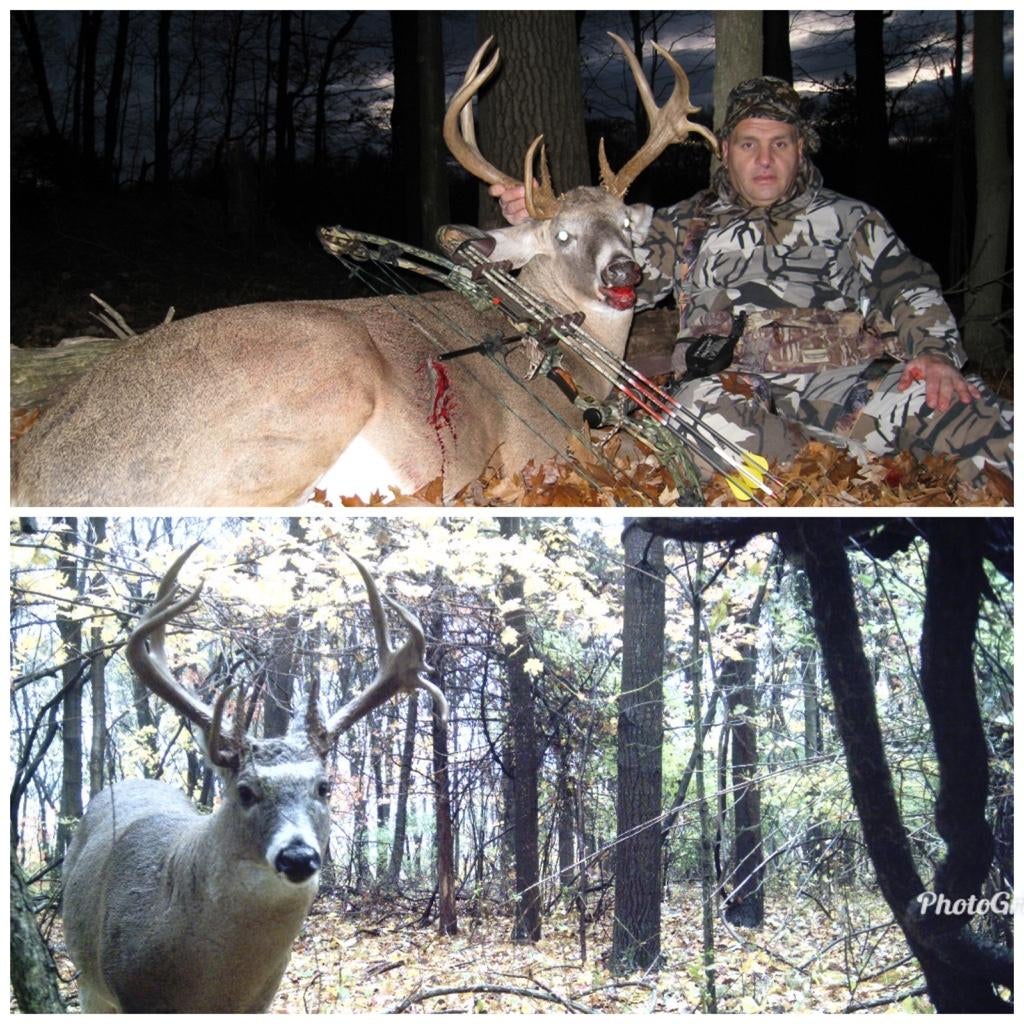 Palmated Deer Page 2 Archery Talk Forum palmated-deer-page-2-archery-talk-forum