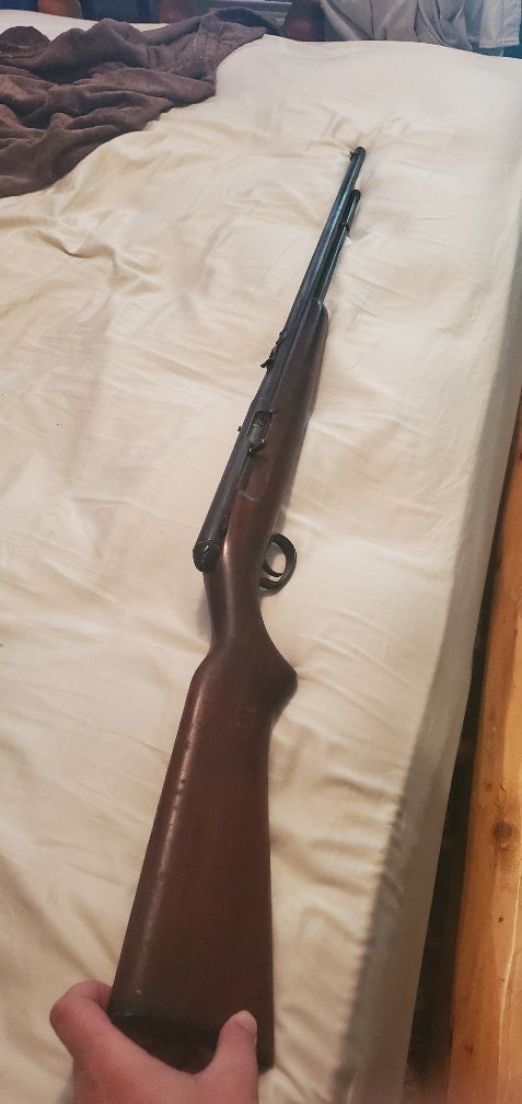 Grandad's 550-1 | Rimfire Central Firearm Forum