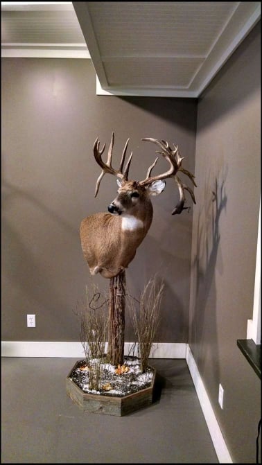 Fence Post Pedestal Deer Mount
