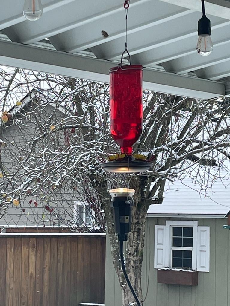 Hummingbird feeder heater | IFish Fishing Forum