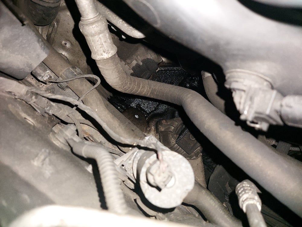 Oil leak help, N47 118d E87 Baby BMW Forum