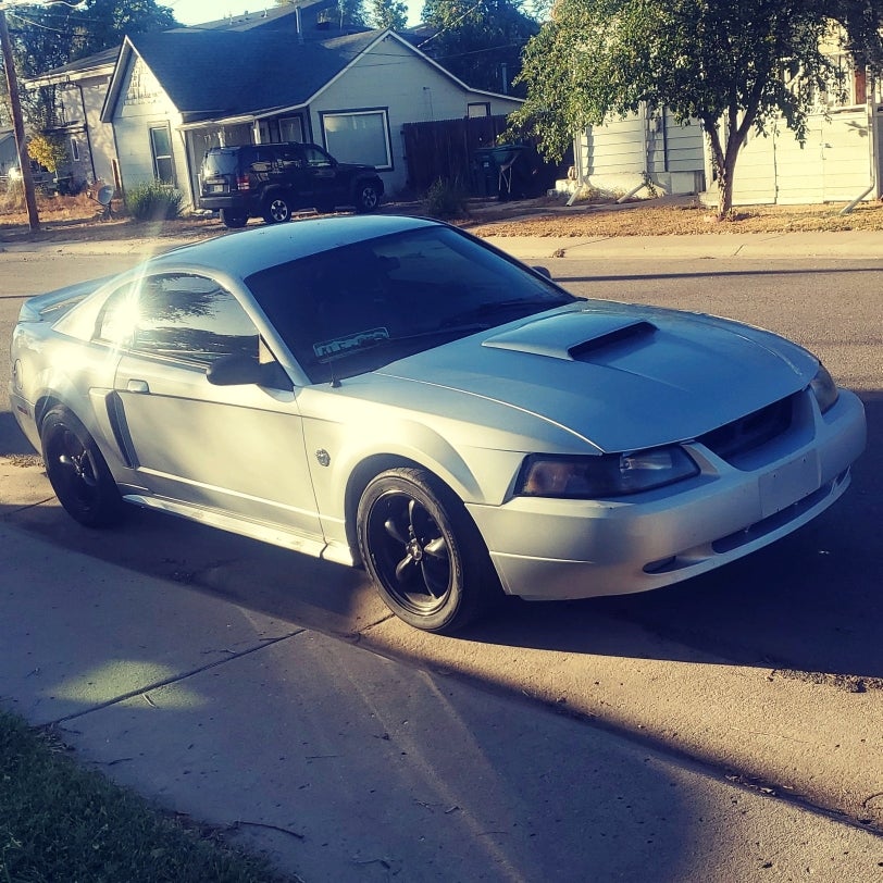 When do I need caster camber plates? How low can I go? Mustang and