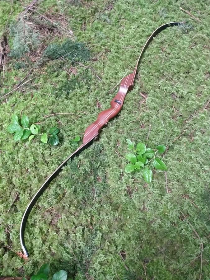 Any info on this bow !? | Archery Talk Forum