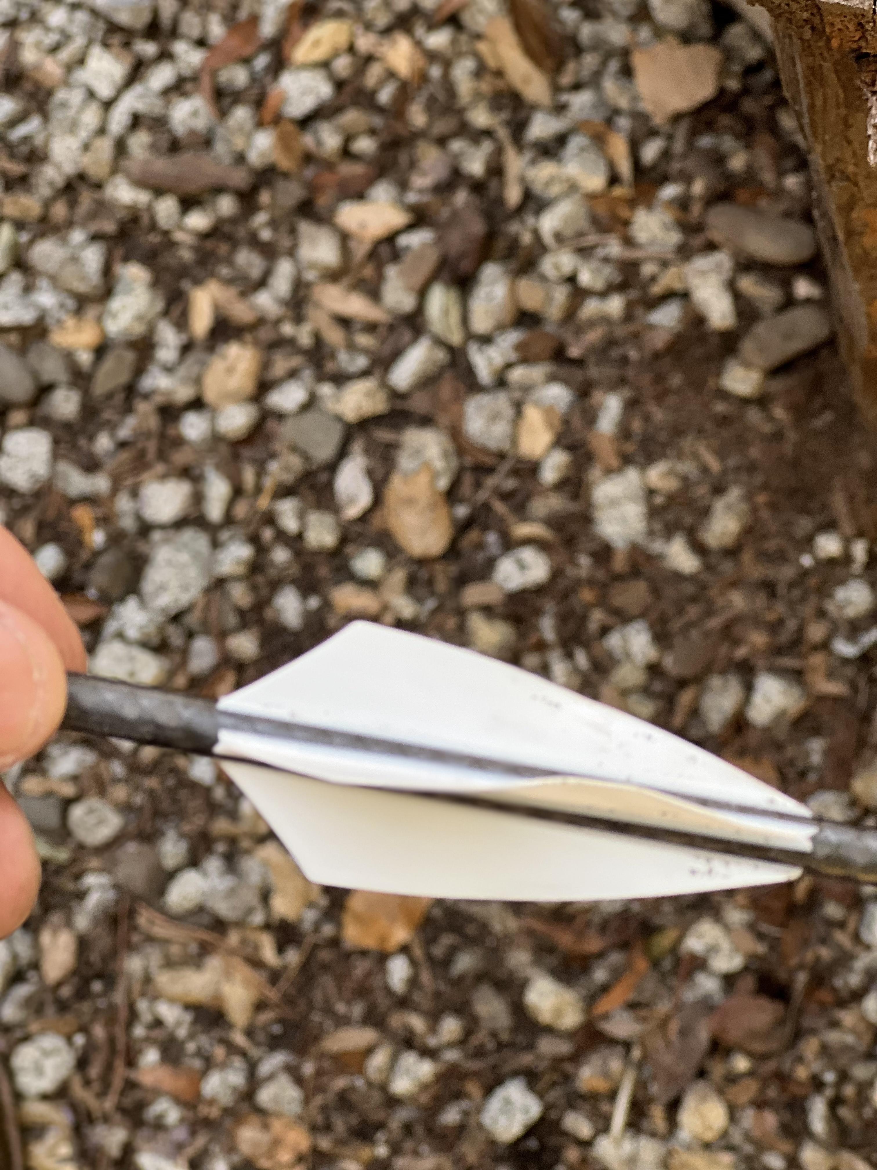 Quietest and Best Vanes for Iron Will Broadheads? Archery Talk Forum