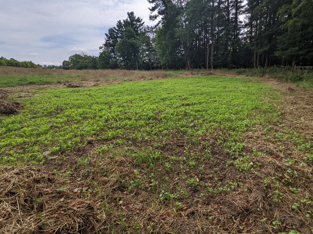 2022-23 THE Pennsylvania Thread *** | Page 55 | Archery Talk Forum