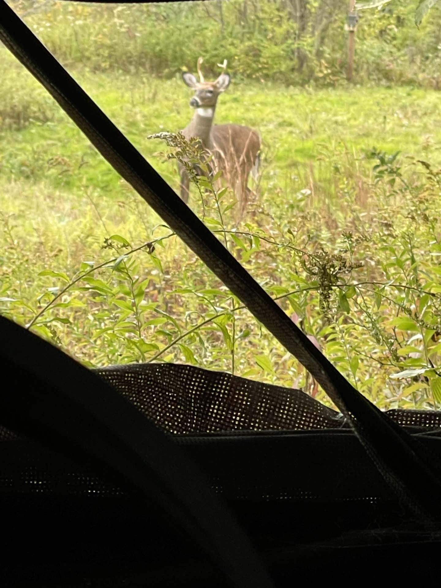 2022-23 THE Pennsylvania Thread *** | Page 86 | Archery Talk Forum