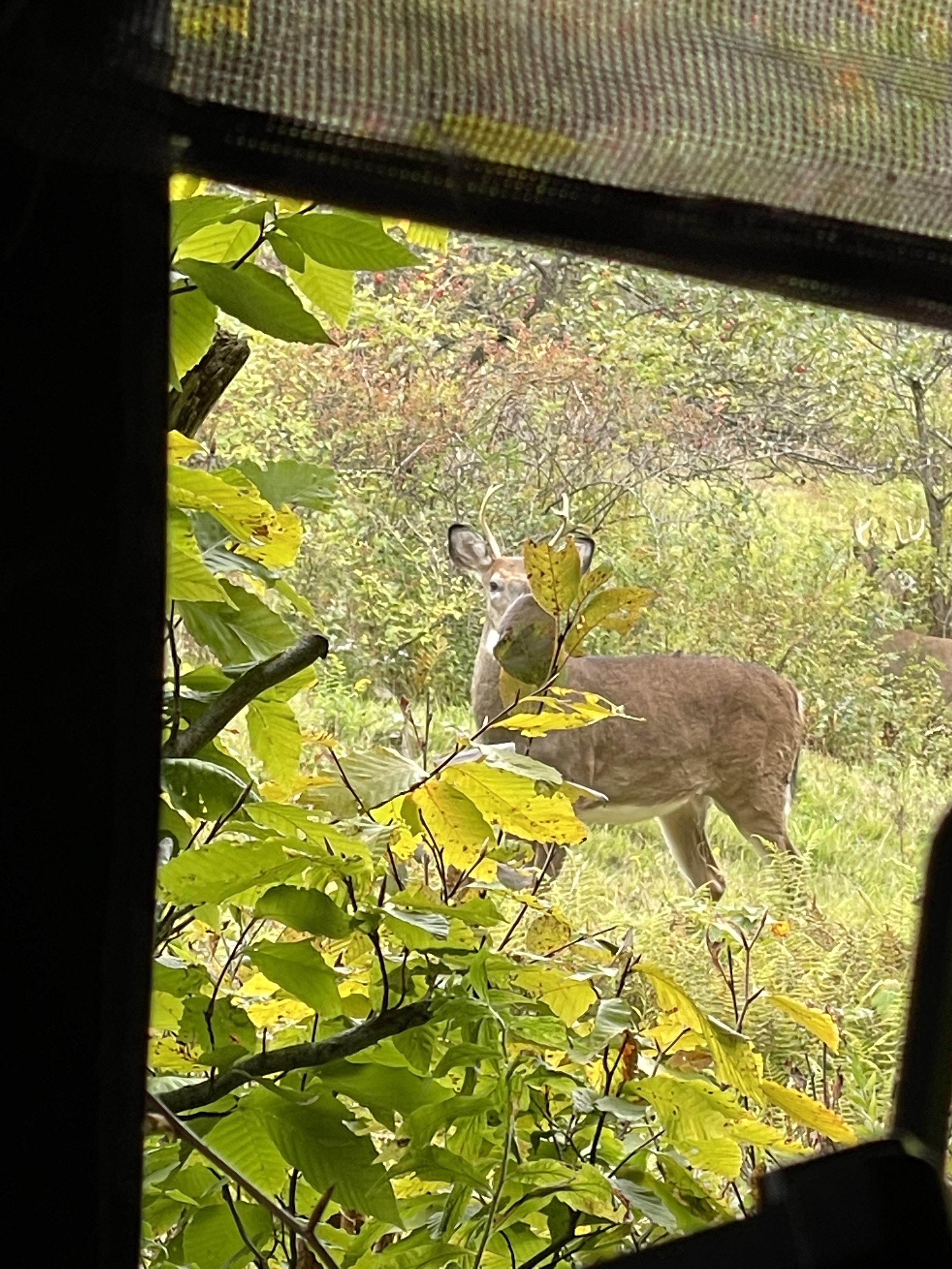 2022-23 THE Pennsylvania Thread *** | Page 86 | Archery Talk Forum
