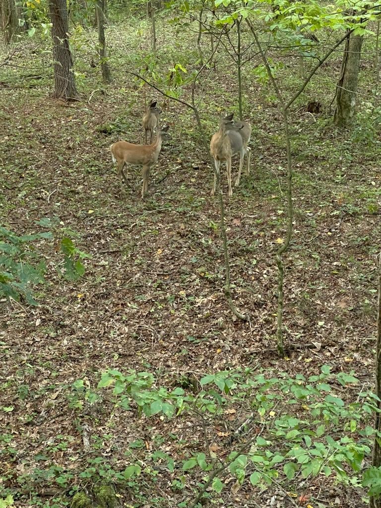 2022-23 THE Pennsylvania Thread *** | Page 99 | Archery Talk Forum
