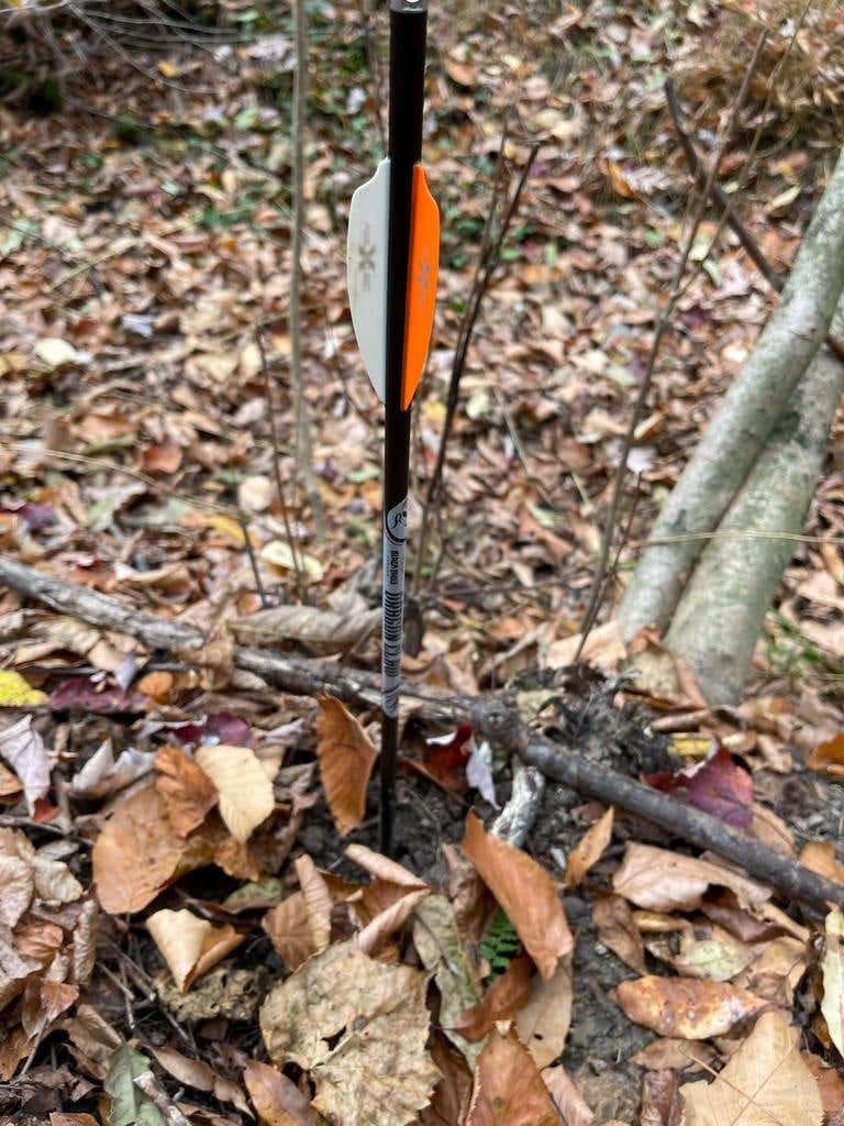 2022-23 THE Pennsylvania Thread *** | Page 149 | Archery Talk Forum