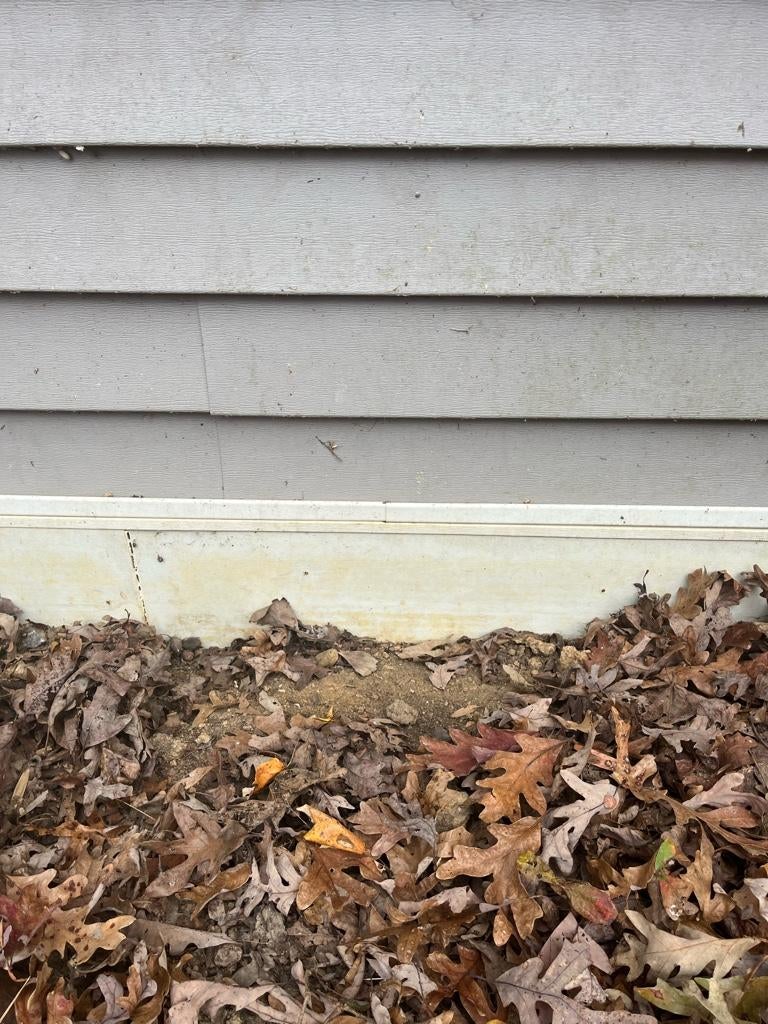 Termite/water damage to sill plate in garage DIY Home Improvement Forum