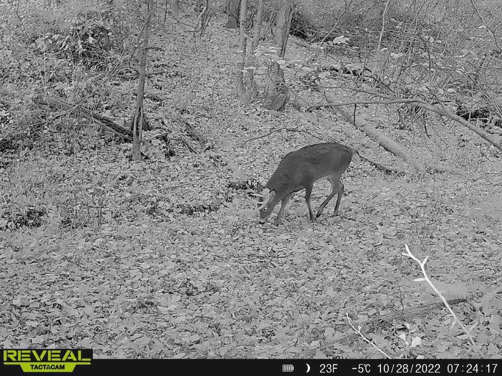 2022-23 THE Pennsylvania Thread *** | Page 149 | Archery Talk Forum