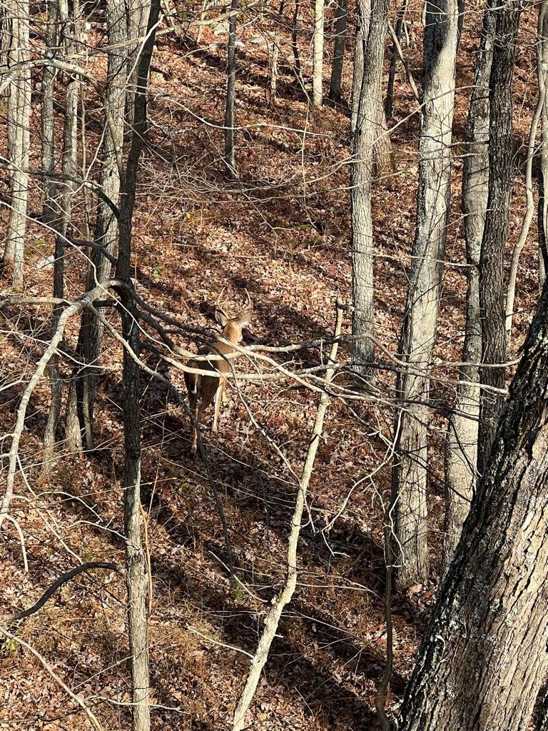 2022-23 THE Pennsylvania Thread *** | Page 168 | Archery Talk Forum