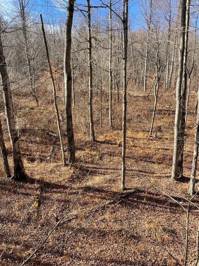 2022-23 THE Pennsylvania Thread *** | Page 169 | Archery Talk Forum